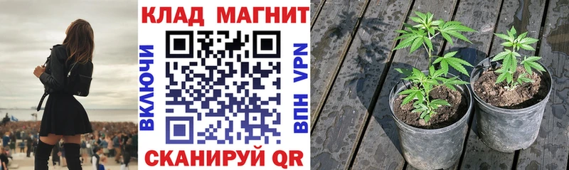 Где купить наркоту Новое Девяткино Псилоцибиновые грибы  КОКАИН  СОЛЬ 