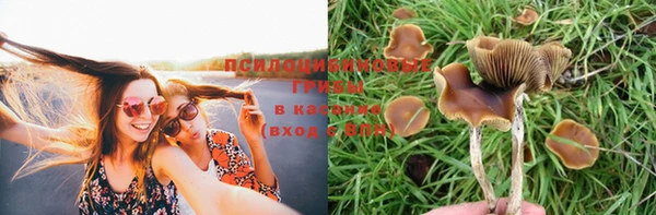 соль курить ск Абинск