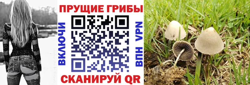 купить наркотики цена  Новое Девяткино  Галлюциногенные грибы мухоморы 